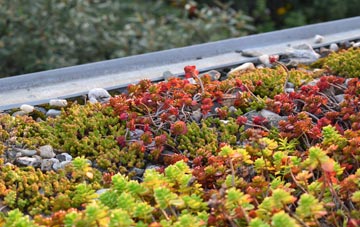the cost of Catterick green roof installation
