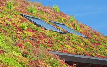 Catterick living roof systems